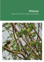 Pillonis 1716678951 Book Cover