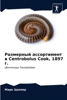 Размерный ассортимент в Centrobolus Cook, 1897 г.: (Диплопода: Pachybolidae) 620359606X Book Cover