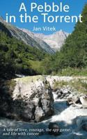 A Pebble in the Torrent 1909740667 Book Cover