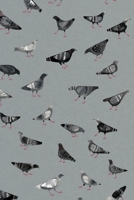 Notes: A Blank Dot Grid Notebook with Pigeons Doing Pigeon Things Cover Art 169372037X Book Cover