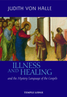 Illness and Healing: And the Mystery Language of the Gospels 1902636988 Book Cover