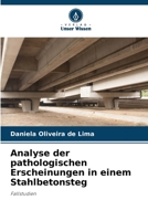 Analyse der pathologischen Erscheinungen in einem Stahlbetonsteg (German Edition) 6207446429 Book Cover