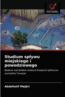 Studium splywu miejskiego i powodziowego 6203252018 Book Cover