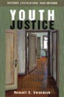 Youth justice: History, legislation, and reform 0774736941 Book Cover