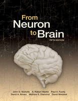 From Neuron to Brain: A Cellular and Molecular Approach to the Function of the Nervous System 0878934391 Book Cover