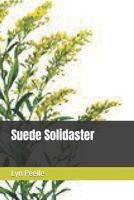 Suede Solidaster B0CH2FK9P9 Book Cover