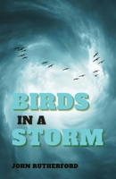 Birds in a Storm B0CPRGX9D1 Book Cover