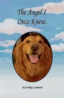The Angel I Once Knew B0DWZQ74WR Book Cover