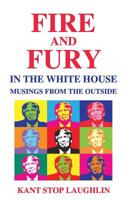 Fire and Fury in the White House: Musings from the Outside 1983636827 Book Cover