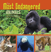 The Most Endangered Animals in the World 1491422378 Book Cover