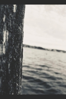 Aya's Wonderland (The Outcasts #1) 1699946582 Book Cover