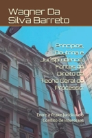 Princípios, Doutrina e Jurisprudência, Fontes do Direito da Teoria Geral do Processo:: Entre a Praxe Jurídica e o Conflito de Interesses 1790988314 Book Cover