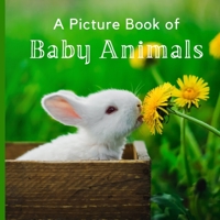 A Picture Book of Baby Animals: A Beautiful Picture Book for Seniors With Alzheimer's or Dementia. B08NVFXMGG Book Cover
