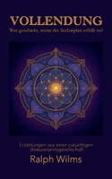 Vollendung - Was geschieht, wenn der Seelenplan erfüllt ist?: Erzählungen einer zukünftigen Bewusstseinsgesellschaft (German Edition) B0GFCLJPPK Book Cover