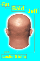 Fat Bald Jeff 0802137725 Book Cover