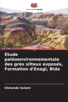 Étude paléoenvironnementale des grès silteux exposés, Formation d'Enagi, Bida (French Edition) 6208077710 Book Cover
