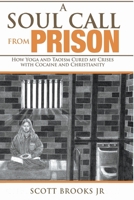 A Soul Call from Prison: How Yoga and Taoism Cured My Crises with Cocaine and Christianity B0CC8RMCV6 Book Cover