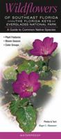 Wildflowers of Southeast Florida Including the Florida Keys & Everglades National Park: A Guide to Common Native Species 0982490577 Book Cover