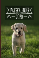 Tageskalender 2020: Terminkalender ca DIN A5 weiß über 370 Seiten I 1 Tag eine Seite I Jahreskalender I Labrador I Hunde 1702083799 Book Cover