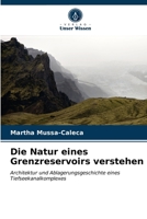 Die Natur eines Grenzreservoirs verstehen 6203506877 Book Cover