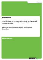 Nachhaltige Energiegewinnung am Beispiel der Biomasse: Potenziale und Risiken im Umgang mit biogenen Rohstoffen 3656433380 Book Cover