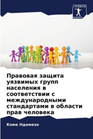Правовая защита уязвимых групп населения в соответствии с международными стандартами в области прав человека 6206289702 Book Cover