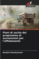 Piani di uscita dal programma di sovvenzioni per l'affidamento (Italian Edition) 6209847404 Book Cover