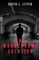 The Monochrome Solution B0CVZGV812 Book Cover