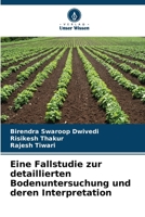 Eine Fallstudie zur detaillierten Bodenuntersuchung und deren Interpretation (German Edition) 6204986597 Book Cover