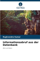 Informationsabruf aus der Datenbank (German Edition) 6208089824 Book Cover