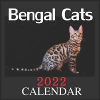 CALENDAR 2022 Bengal Cats: Official Bengals Cats Calendar 2022, Square Calendar 12 Months , Animals Cats Breeds ,Kittens Calendar 2022 B094CRKDVC Book Cover