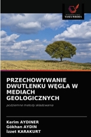 PRZECHOWYWANIE DWUTLENKU WĘGLA W MEDIACH GEOLOGICZNYCH: podziemne metody składowania 6202819529 Book Cover