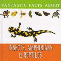 Insects And Reptiles (Fantastic Facts S.) 0752533886 Book Cover