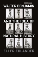 Walter Benjamin and the Idea of Natural History 1503637700 Book Cover