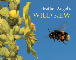 Heather Angel's Wild Kew 1842464027 Book Cover