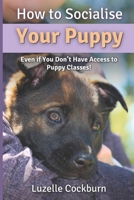 How to Socialise Your Puppy: Even if you don’t have access to puppy classes! 1067022813 Book Cover
