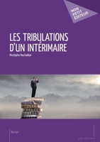 Les Tribulations d'un intérimaire (French Edition) 2342010338 Book Cover