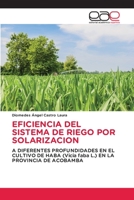 Eficiencia del Sistema de Riego Por Solarizacion 6202103302 Book Cover