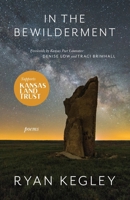 In the Bewilderment 1960293303 Book Cover