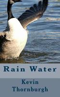 Rain Water: poetry 1492154547 Book Cover