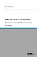 Wohin mit den Öl- und Gasmilliarden?: Diskussionen um den russischen Stabilisierungsfonds 364052201X Book Cover