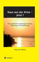 Raus aus der Krise - Jetzt !: Eine praktische Anleitung bei Stress, Belastung & Überforderung 3347119371 Book Cover