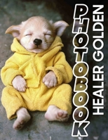 Healer Golden Photo Book: Showcasing 40 Stunning Images Of The Beloved Golden Retriever For Dog Lovers B0DPCRJ8TN Book Cover