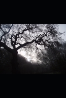 Summer's Errant (Winter’s Embrace) B0D66MDTXR Book Cover