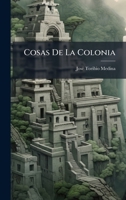 Cosas De La Colonia (Spanish Edition) 102381918X Book Cover