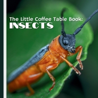 The Little Coffee Table Book: Insects: From the graceful flight of butterflies to the industriousness of ants, you'll discover the essential roles ... and their unique adaptations for survival. B0DTB2FCN1 Book Cover