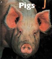 Pigs (Naturebooks) 1567663788 Book Cover