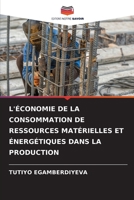 L'ÉCONOMIE DE LA CONSOMMATION DE RESSOURCES MATÉRIELLES ET ÉNERGÉTIQUES DANS LA PRODUCTION 6205875217 Book Cover