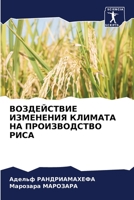ВОЗДЕЙСТВИЕ ИЗМЕНЕНИЯ К& 6205307324 Book Cover