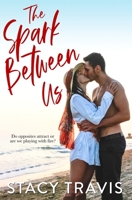 The Spark Between Us 1735075981 Book Cover